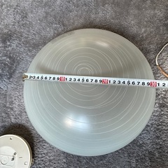 玄関など蛍光灯　動作品の画像
