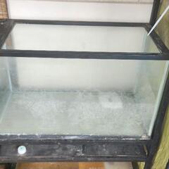 爬虫類用60cm水槽と水槽台の画像