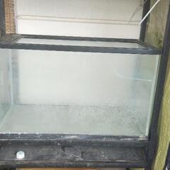爬虫類用60cm水槽と水槽台の画像