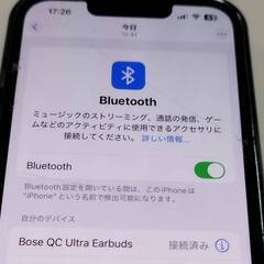 BOSE QuietComfort Ultra Earbuds/441048/ワイヤレスイヤホンの画像