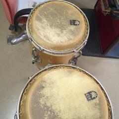 中古コンガの画像