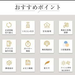 【ほぼ未使用】シーリングファンライト の画像