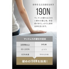 折りたたみSDマットレスの画像