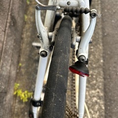 ルイガノ自転車の画像