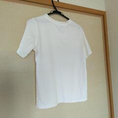 ユニクロ　レディース　サイズM　猫柄　半袖の画像