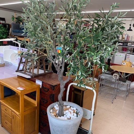 美原店 オリーブ フェイクグリーン 2021年製 インテリア 観葉植物　屋内専用