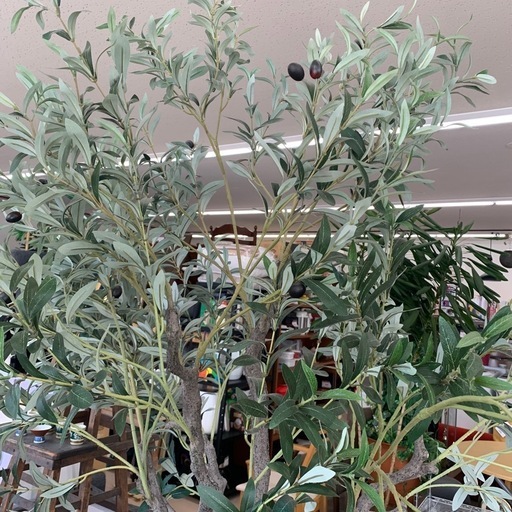 美原店 オリーブ フェイクグリーン 2021年製 インテリア 観葉植物　屋内専用