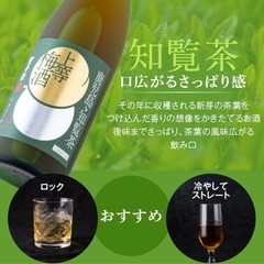 鹿児島　上等梅酒　知覧茶　720mlの画像