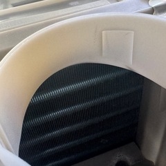 分解洗浄済み TOSHIBA ドラム式洗濯機 TW-127XM2L 12kg  2023年製の画像
