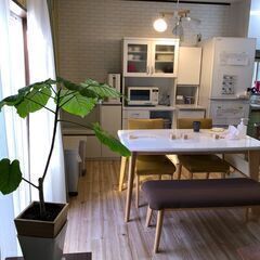 好きな時間に夕食作り置き（3-4人分）と簡単な家事のお仕事ですの画像