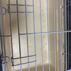 小動物用ケージの画像
