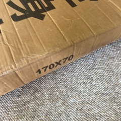 鏡かフレームいかがですかの画像