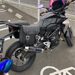 【値下げ交渉可】CB250R  カスタム多数の画像