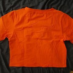 ジェイダ プレイボーイ ショート丈 半袖 Tシャツ オレンジ フリーサイズの画像