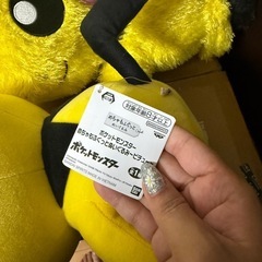 ポケモン ぬいぐるみ②の画像