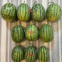 小玉すいか(大)の画像