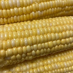 木瓜自然農園　自然農無農薬とうもろこし　5本500円の画像