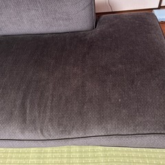 カストール ソファーの画像