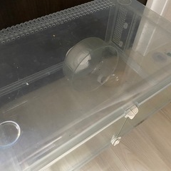 ハムスターケージの画像