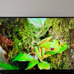 LG 43インチ 4Kテレビ（43UQ8000PJC）の画像