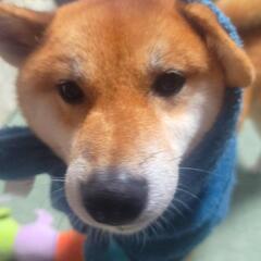 気軽にメッセージ出来る方！