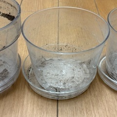ガーデニング　鉢の画像