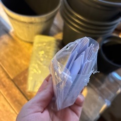 決まりました😊増量中!!鉢セット🌵😉7/31まで の画像