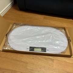2.ベビースケールの画像