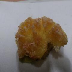 イチジクの画像