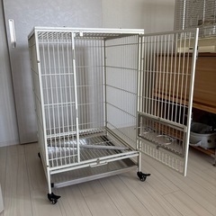 大型バードケージ　中古　スチール製の画像