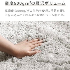 【売却済】モダンデコ　シャギーラグの画像