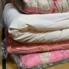 0円です！　布団　毛布　まとめの画像