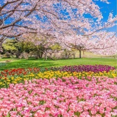 水やり代行5分で終わります！(写真はイメージです。)