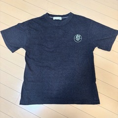 Tシャツ ブラウン レディースの画像