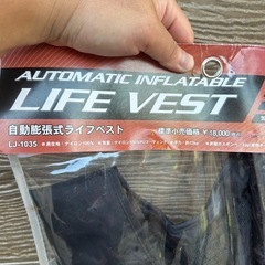 ライフジャケットの画像