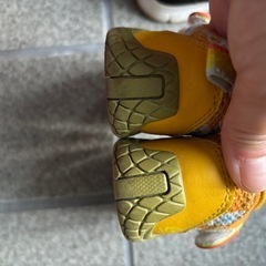 ムーンスターキャロット　15cmの画像