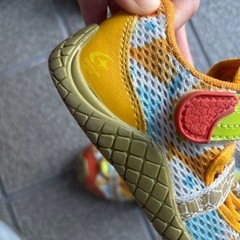 ムーンスターキャロット　15cmの画像