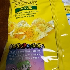 湖池屋　のり塩　largeサイズの画像