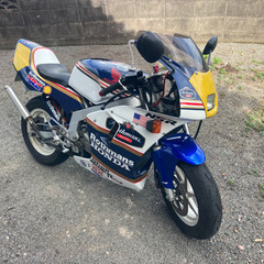 再出品綺麗なNSR50ですの画像