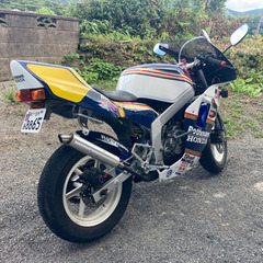 再出品綺麗なNSR50ですの画像