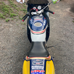 再出品綺麗なNSR50ですの画像