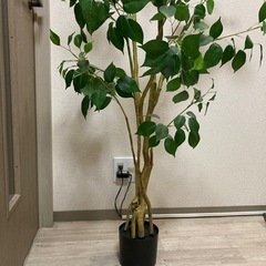 観葉植物（造花）の画像