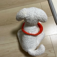 ぬいぐるみの画像