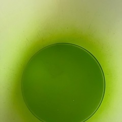 グリーン系 ゴミ箱の画像