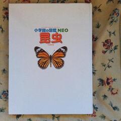 小学館図鑑　昆虫　の画像