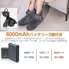 電気スリッパの画像