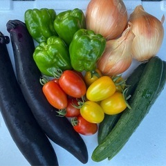 【夏野菜セット】の画像