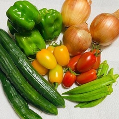 【夏野菜セット】の画像