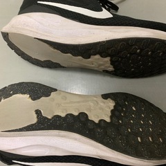 ナイキ　レボリューション 7 ワイド FB8501 28.5の画像