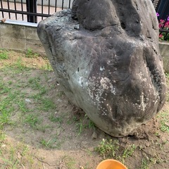 2万円払うので引き取って下さい。の画像